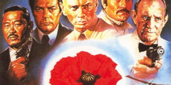 The Poppy Is Also a Flower