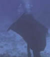 mantaray1 Djevelskate-cover